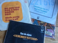 Single lot - afbeelding 2 van  2