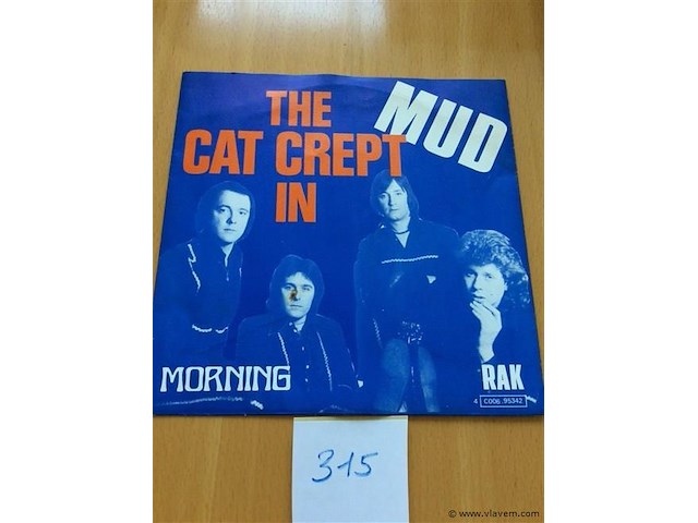 Single mud - afbeelding 1 van  1