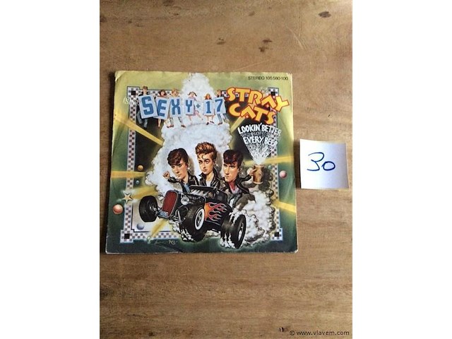 Single stray cats - afbeelding 2 van  2