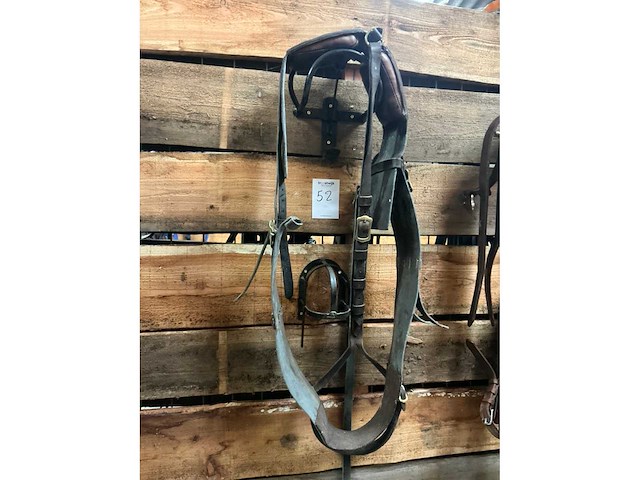 Single - afbeelding 2 van  6