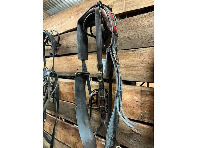 Single - afbeelding 3 van  6