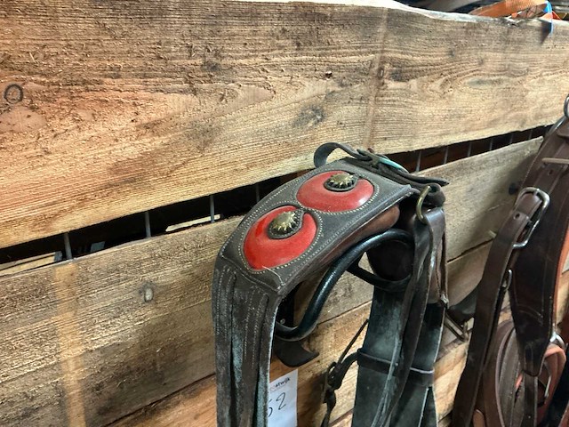 Single - afbeelding 5 van  6