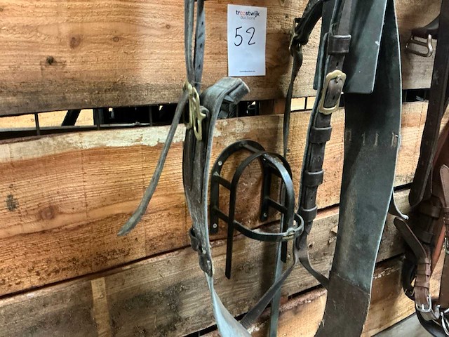 Single - afbeelding 6 van  6