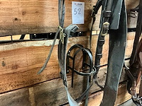 Single - afbeelding 6 van  6