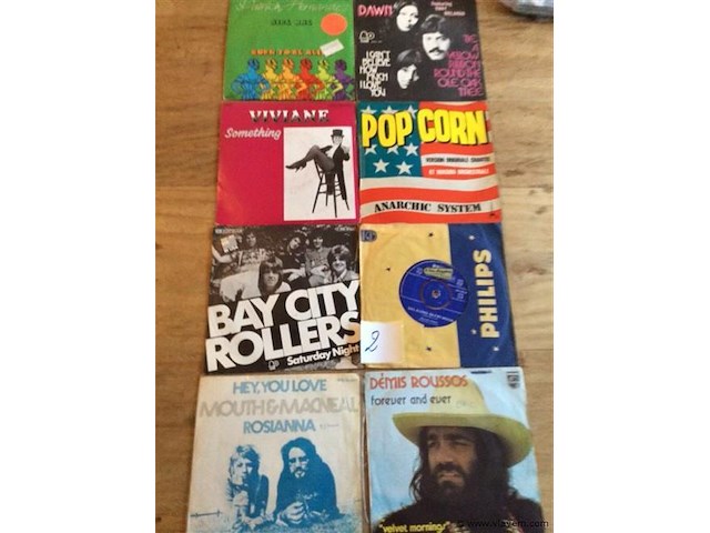 Singles lot - afbeelding 1 van  3