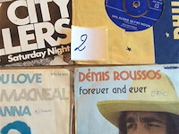 Singles lot - afbeelding 3 van  3