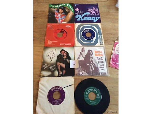 Singles lot - afbeelding 1 van  3