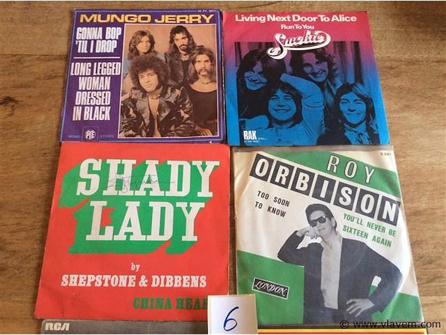 Singles lot - afbeelding 2 van  3