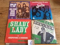 Singles lot - afbeelding 2 van  3