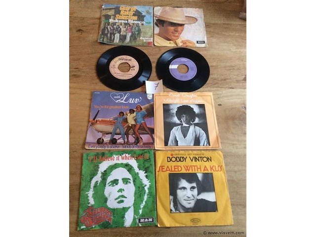 Singles lot - afbeelding 1 van  3