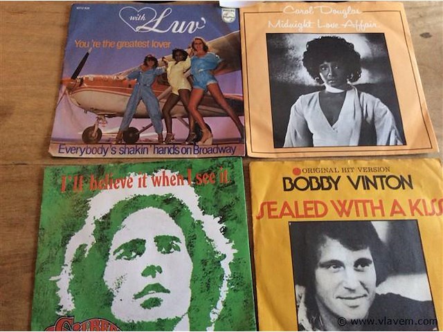 Singles lot - afbeelding 3 van  3