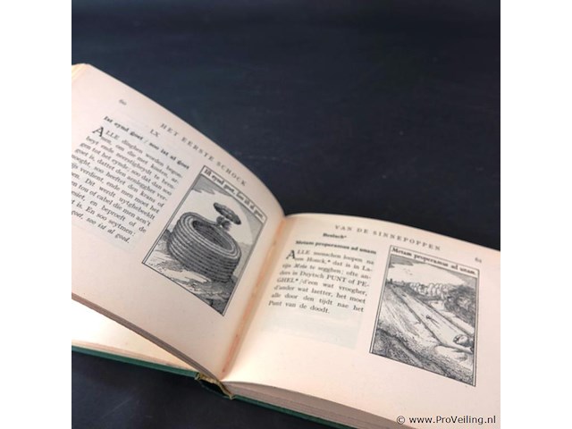 Sinnepoppen van toermer visccher - afbeelding 4 van  5