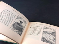 Sinnepoppen van toermer visccher - afbeelding 4 van  5