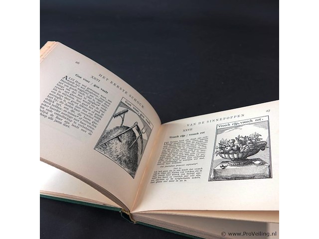 Sinnepoppen van toermer visccher - afbeelding 5 van  5