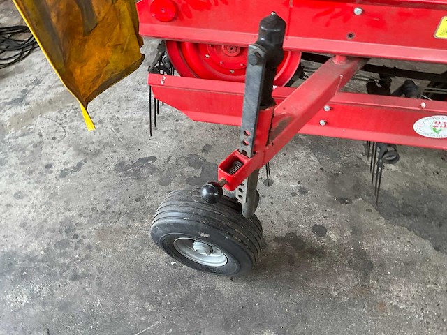 Sip bandhark - afbeelding 10 van  10