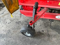 Sip bandhark - afbeelding 10 van  10