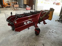 Sip bandhark - afbeelding 4 van  10