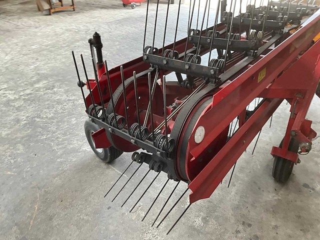 Sip bandhark - afbeelding 5 van  10