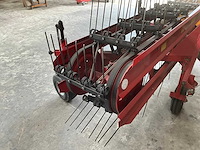 Sip bandhark - afbeelding 5 van  10