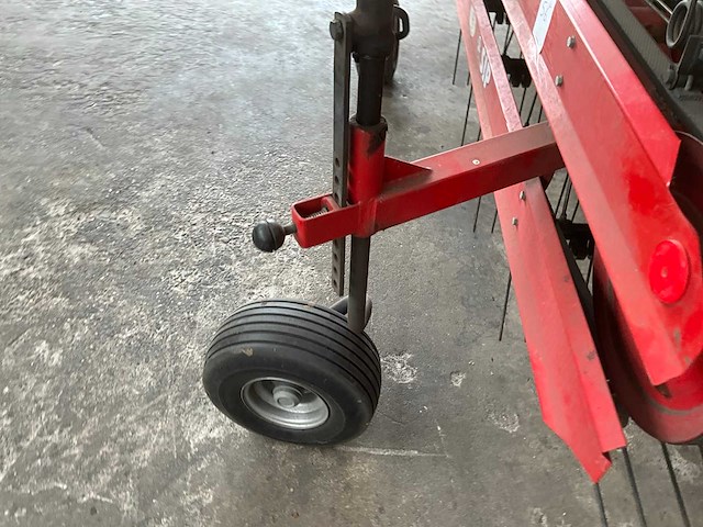 Sip bandhark - afbeelding 6 van  10