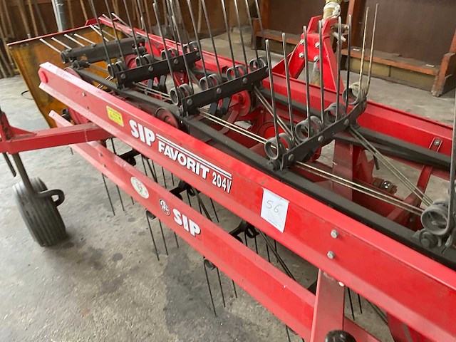 Sip bandhark - afbeelding 7 van  10