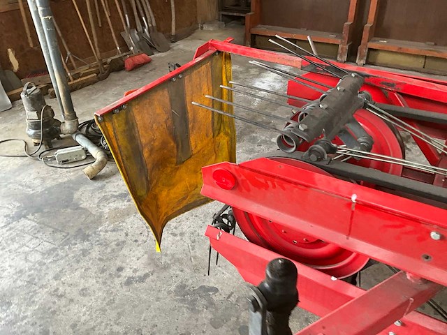 Sip bandhark - afbeelding 9 van  10