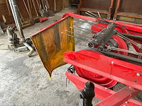 Sip bandhark - afbeelding 9 van  10