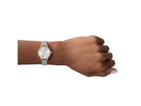 Skagen anita skw2340 dameshorloge 30 mm - goudkleurig - afbeelding 3 van  3