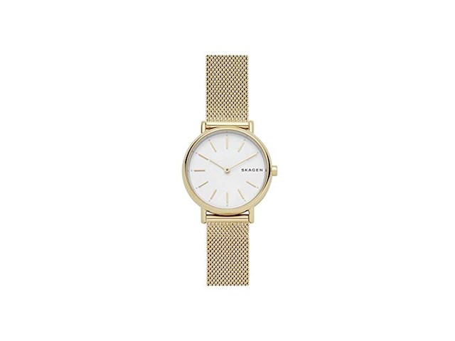 Skagen goudkleurig vrouwen horloge skw2693 - afbeelding 1 van  1