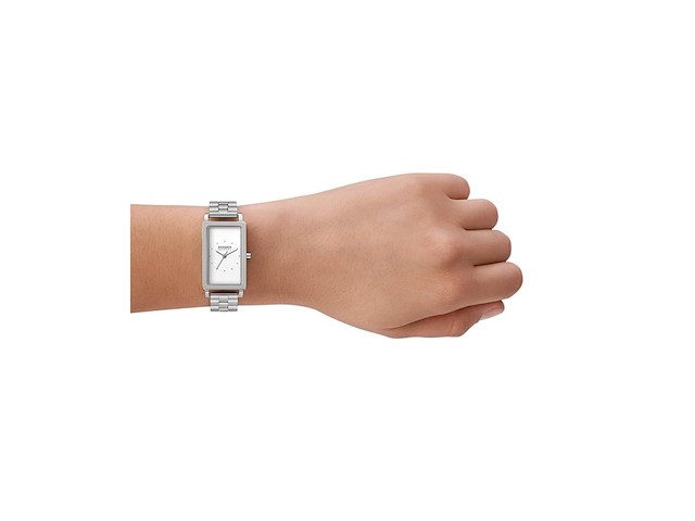 Skagen skw3130 dames horloge 22 zilverkleurig - afbeelding 3 van  4