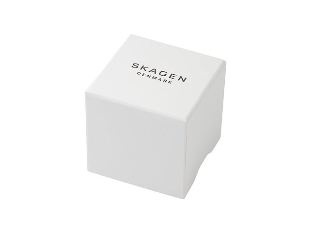 Skagen skw3130 dames horloge 22 zilverkleurig - afbeelding 4 van  4