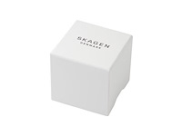 Skagen skw3130 dames horloge 22 zilverkleurig - afbeelding 4 van  4