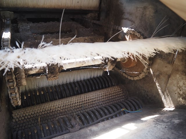 Skals brushing machine - afbeelding 15 van  18