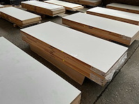 Skantrae - stompe deur 880x2115 mm (6x) - afbeelding 1 van  5