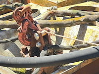 Skimmer - afbeelding 7 van  7