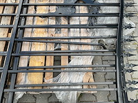 Sklp 14ft 427 cm hert toegangshek - afbeelding 15 van  15