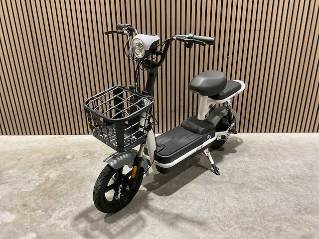 Sklp sk-e48 elektrische fiets - afbeelding 18 van  34