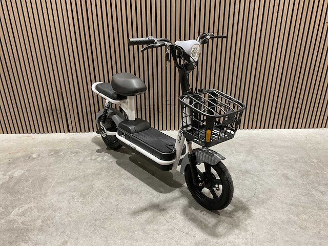 Sklp sk-e48 elektrische fiets - afbeelding 22 van  34