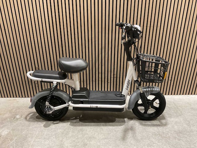 Sklp sk-e48 elektrische fiets - afbeelding 23 van  34