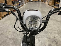 Sklp sk-e48 elektrische fiets - afbeelding 19 van  60