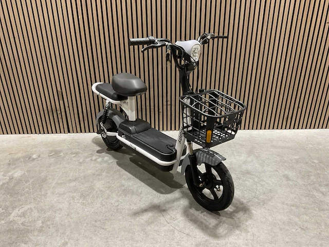 Sklp sk-e48 elektrische fiets - afbeelding 59 van  61