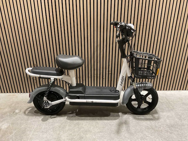 Sklp sk-e48 elektrische fiets - afbeelding 49 van  61