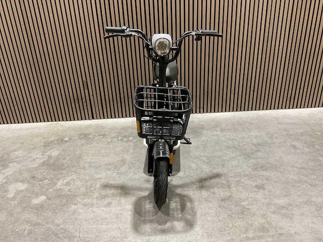 Sklp sk-e48 elektrische fiets - afbeelding 41 van  61