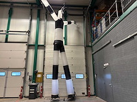 Skydancer zwart wit 2 benig - afbeelding 1 van  3