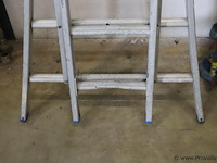 Skyworks reform opsteekladder 2x10 sporten - afbeelding 3 van  9
