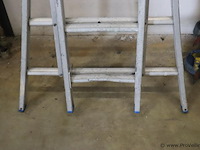 Skyworks reform opsteekladder 2x10 sporten - afbeelding 3 van  9