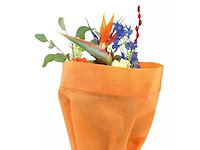 Sl duetto tube orange 50x44 (38300x) - afbeelding 1 van  1