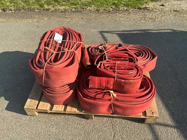 Slang (6x) - afbeelding 2 van  4