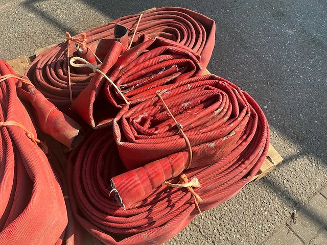 Slang (6x) - afbeelding 3 van  4