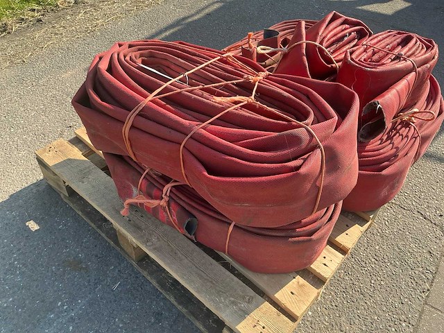 Slang (6x) - afbeelding 4 van  4